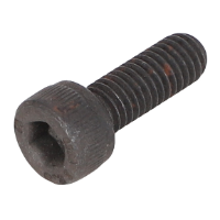 AGCO SCREW AL5004001 Parts - True Ag & Turf