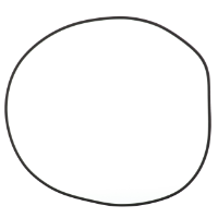 AGCO O-RING 700716416 Parts - True Ag & Turf