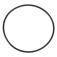 AGCO O-Ring 72313482 Parts - True Ag & Turf