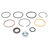 AGCO SEAL KIT 70255712 Parts - True Ag & Turf