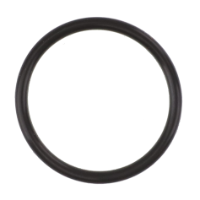 AGCO O-RING CH061-7540 Parts - True Ag & Turf