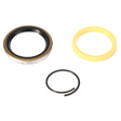 AGCO SEALS KIT 700723495 Parts - True Ag & Turf