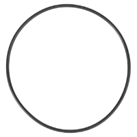 AGCO O-Ring 70924186 Parts - True Ag & Turf