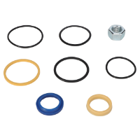 AGCO Seal Kit 6589566 Parts - True Ag & Turf
