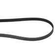 AGCO Belt 6660940 Parts - True Ag & Turf