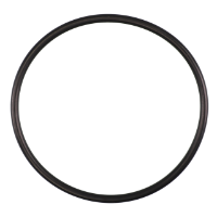 AGCO O-RING 70923601 Parts - True Ag & Turf