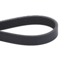 AGCO Serpentine Belt, PK6 Profile 589366D1 Parts - True Ag & Turf