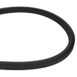 AGCO BELT 71319657V Parts - True Ag & Turf