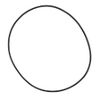 AGCO O-RING 700737138 Parts - True Ag & Turf