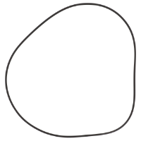 AGCO O-RING 72420256 Parts - True Ag & Turf