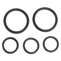 AGCO SEAL KIT 72604801 Parts - True Ag & Turf