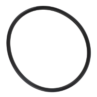 AGCO O-RING 72479661 Parts - True Ag & Turf