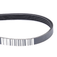 AGCO Serpentine Belt, PK4 Profile 4390524M2 Parts - True Ag & Turf