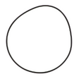 AGCO O-RING 562185D1 Parts - True Ag & Turf