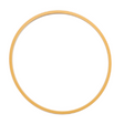 AGCO SEAL RING 70248044 Parts - True Ag & Turf