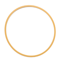 AGCO SEAL RING 70248044 Parts - True Ag & Turf
