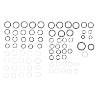 AGCO SEAL KIT AG724970 Parts - True Ag & Turf