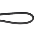 AGCO DRIVE BELT 71449337 Parts - True Ag & Turf