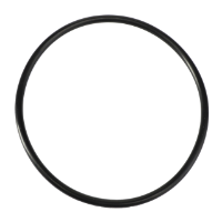 AGCO O-Ring 70923585 Parts - True Ag & Turf