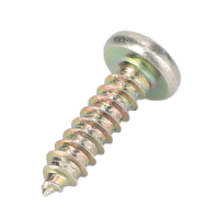 AGCO SCREW 72315787 Parts - True Ag & Turf