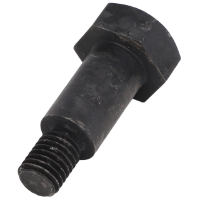 AGCO SCREW 30-3225798 Parts - True Ag & Turf