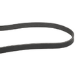 AGCO SERPENTINE BELT 7066718M1 Parts - True Ag & Turf