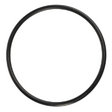 AGCO O-RING 3004708X1 Parts - True Ag & Turf