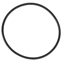 AGCO O-RING AG610748 Parts - True Ag & Turf