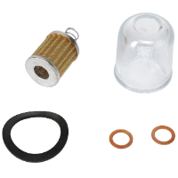 AGCO Fuel Filter Kit 72277207 Parts - True Ag & Turf