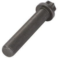 AGCO TORX SCREW 72484463