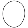 AGCO O-RING 72620882 Parts - True Ag & Turf