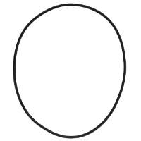 AGCO O-RING 72620882 Parts - True Ag & Turf