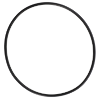 AGCO O-RING 3909973M1 Parts - True Ag & Turf