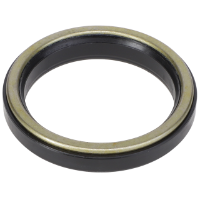 AGCO Oil Seal 7102053M1 Parts - True Ag & Turf