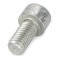 AGCO Hex Socket Screw 3009285X1 Parts - True Ag & Turf