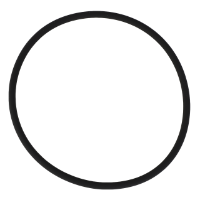 AGCO O-RING 70933460 Parts - True Ag & Turf