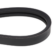 AGCO Fan Drive Belt, 2864 mm 71477330 Parts - True Ag & Turf