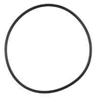 AGCO O-RING 3704958M1 Parts - True Ag & Turf