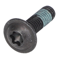 AGCO TORX HEAD SCREW ACW6176150