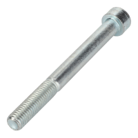 AGCO HEX SOCKET SCREW V581805172 Parts - True Ag & Turf