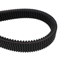 AGCO Rotor Drive Belt, 3680 mm 71448442 Parts - True Ag & Turf