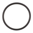 AGCO O-RING V81622300 Parts - True Ag & Turf