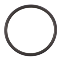 AGCO O-RING V81622300 Parts - True Ag & Turf