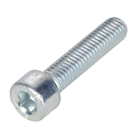 AGCO SCREW ACP0410760 Parts - True Ag & Turf