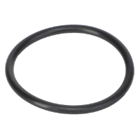 AGCO O-RING 70923621V Parts - True Ag & Turf