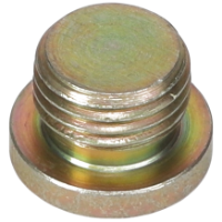 AGCO PLUG 3903216M1 Parts - True Ag & Turf