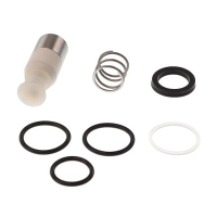 AGCO NEEDLE AND SEAL KIT 700743679 Parts - True Ag & Turf