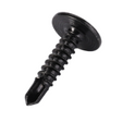 AGCO SCREW V32665200 Parts - True Ag & Turf