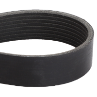 AGCO MULTI-RIBBED BELT V685081780 Parts - True Ag & Turf