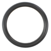 AGCO O-RING 6251060M1 Parts - True Ag & Turf